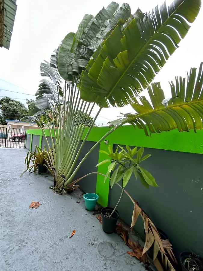 ****  Vieques Good Vibe Guest House Puerto Rico