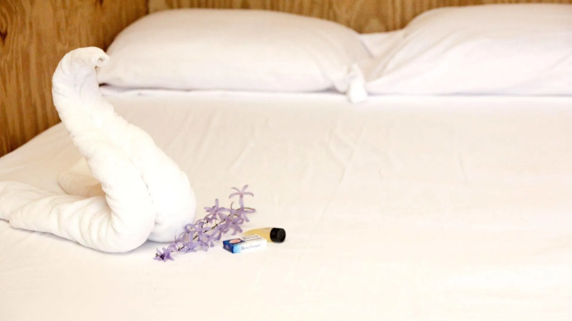 Vieques Good Vibe Guest House 4*,